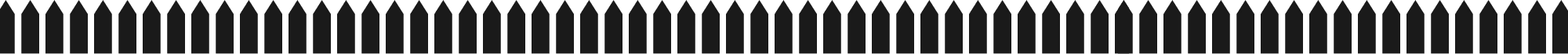 ikonka